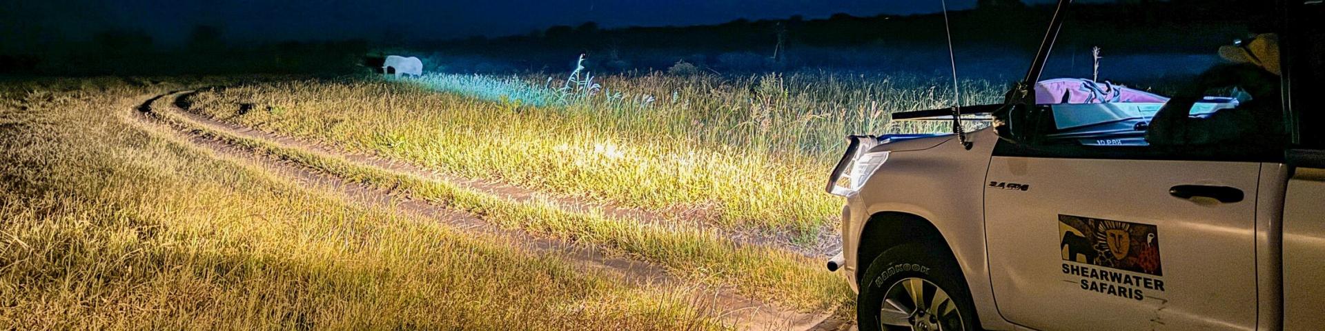 Safari w Victoria Falls Private Game Reserve